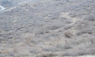 "Distrugerea Pădurii Hoia prin pietruire a început"