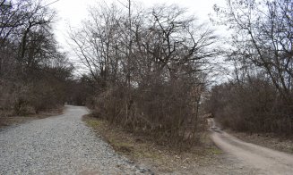 "Distrugerea Pădurii Hoia prin pietruire a început"