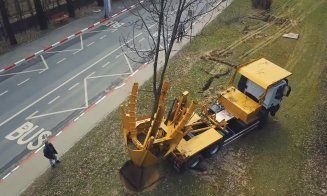 Clujenii cer un utilaj de replantat arbori în oraș, după modelul Sibiu. VEZI cum lucrează / UPDATE: SURPRIZĂ, Clujul are utilajul!