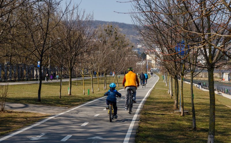 1.000 de noi arbori și arbuști plantați la Cluj