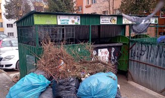 Municipalitatea plantează copaci în grădinile din cartiere, dar îi lasă pe clujeni cu gunoiul vegetal în drum cu săptămânile