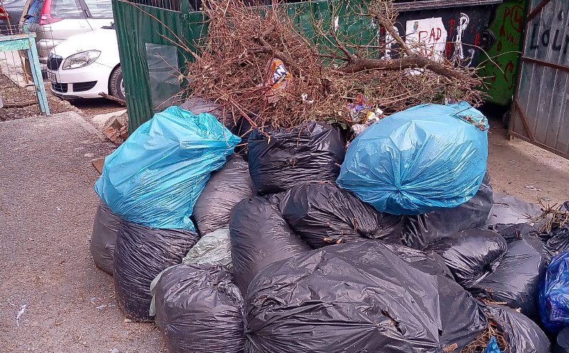 Municipalitatea plantează copaci în grădinile din cartiere, dar îi lasă pe clujeni cu gunoiul vegetal în drum cu săptămânile