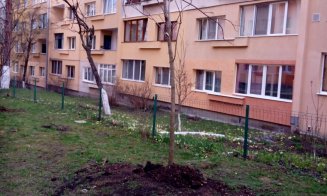 Municipalitatea plantează copaci în grădinile din cartiere, dar îi lasă pe clujeni cu gunoiul vegetal în drum cu săptămânile