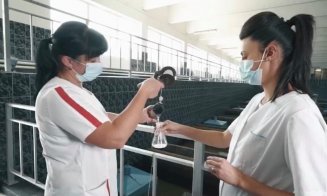 Start lucrărilor de modernizare, cu fonduri europene, a stației de tratare a apei din Gilău