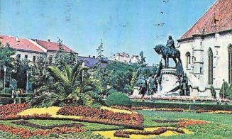 Centrul Clujului verde