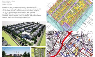 Cum văd arhitecții Spânu urbanizarea din Borhanci