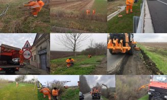 Drumarii de la Cluj au reparat gardurile Autostrăzii Transilvania