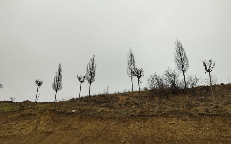 Parcul Tineretului – Pădurea Clujenilor va aduce în zonă un nou cartier rezidenţial