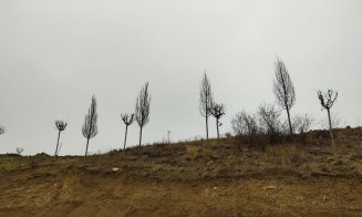 Parcul Tineretului – Pădurea Clujenilor va aduce în zonă un nou cartier rezidenţial