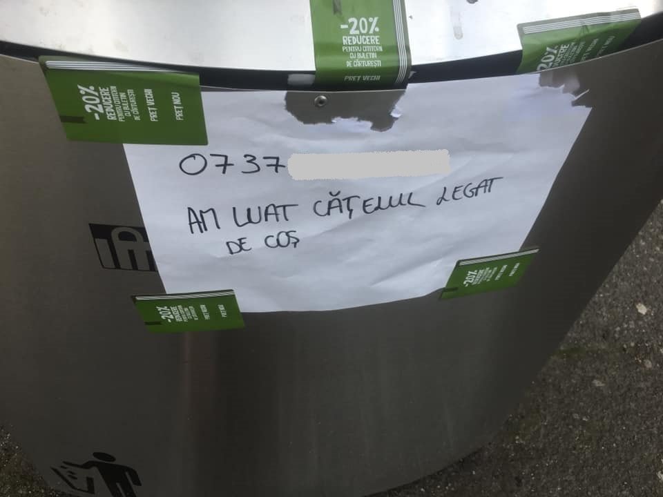 Surpriză pentru un clujean care și-a lăsat câinele legat de un coș de gunoi la intrarea unui mall. Ce a găsit când s-a întors