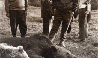 "Cu suficienţi bani poţi cumpăra chiar şi cel mai mare urs brun din Europa"