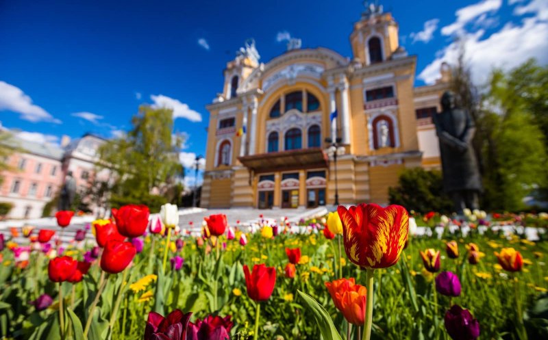 Primăvara s-a instalat la Cluj: lalele superbe și copaci înfloriți
