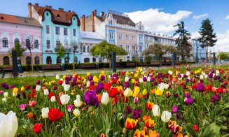 Primăvara s-a instalat la Cluj: lalele superbe și copaci înfloriți