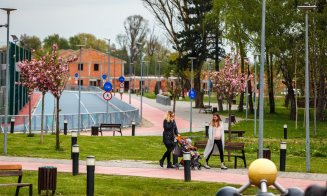 Primăvara s-a instalat la Cluj: lalele superbe și copaci înfloriți