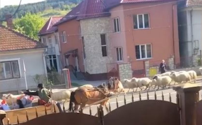 Weekend à la Cluj... "Bandă specială de circulație", duminică, în Baciu