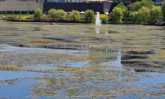 Lacul din Gheorgheni s-a transformat în mlaştină