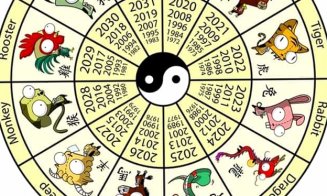 Zodiac chinezesc, 15 mai 2021. Ce zodie va avea parte de multe capcane astăzi