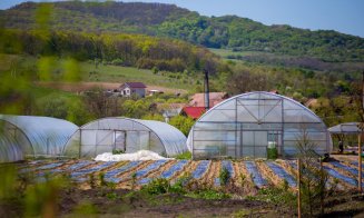 Colina Farms a introdus irigarea prin picurare. "Statul îi ignoră pe micii fermieri"