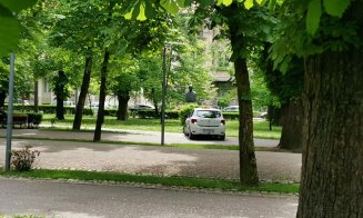 Alee din Parcul Central, transformată ad-hoc în pistă de TAXI: "Într-o țară civilizată cred că rămânea și fără mașină și fără licență..."