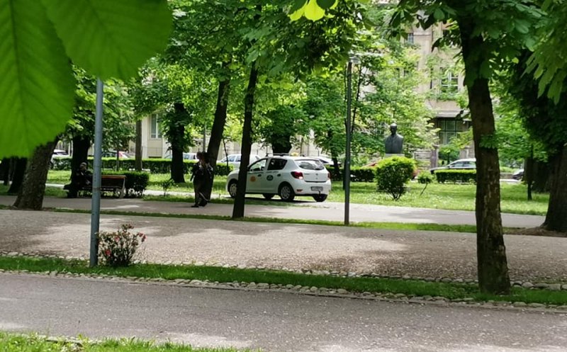 TAXI surprins circulând prin Parcul Central: "Într-o țară civilizată cred că rămânea și fără mașină și fără licență..."