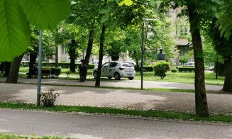 TAXI surprins circulând prin Parcul Central: "Într-o țară civilizată cred că rămânea și fără mașină și fără licență..."