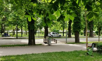Alee din Parcul Central, transformată ad-hoc în pistă de TAXI: "Într-o țară civilizată cred că rămânea și fără mașină și fără licență..."