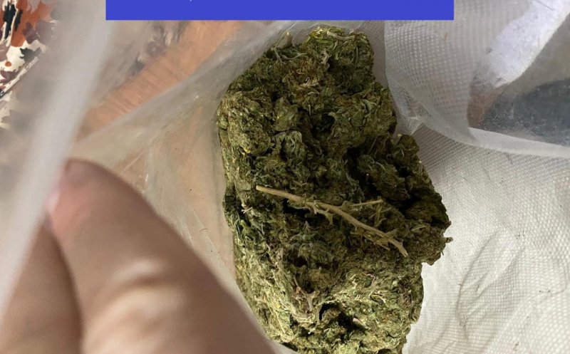 Traficanţi de cannabis şi MDMA, reţinuţi după percheziţii în Alba, Cluj şi Braşov