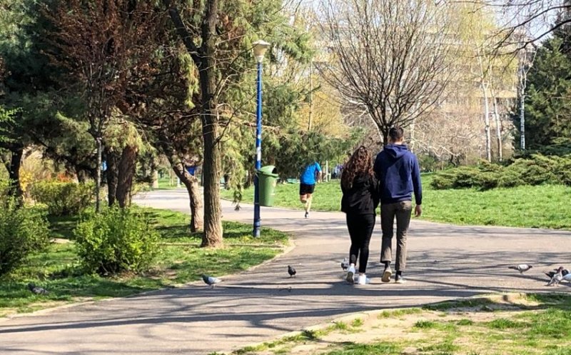 Spărgători de mașini, prinși de polițiști. Au dar cu spray lacrimogen într-un parc din Mănăștur