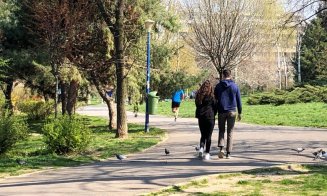 Spărgători de mașini, prinși de polițiști. Au dar cu spray lacrimogen într-un parc din Mănăștur