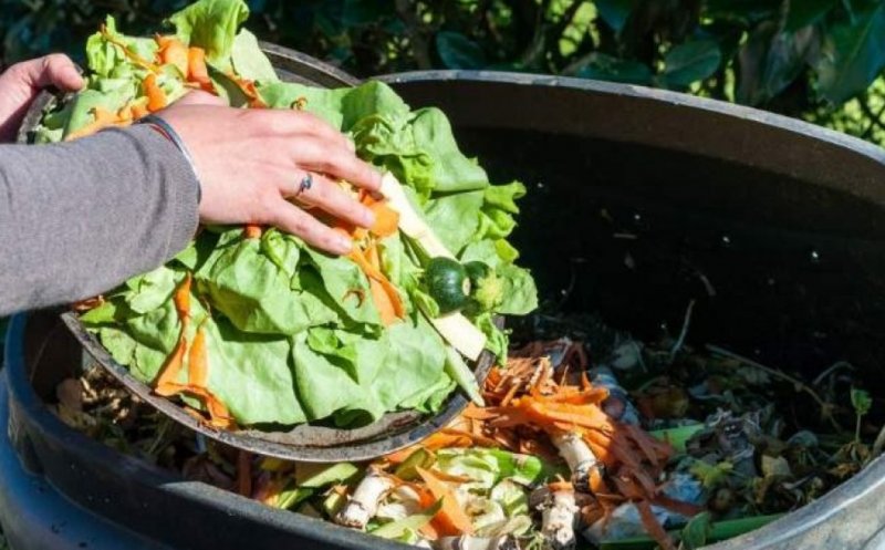 Două organizații clujene vor să reducă la jumătate deșeurile alimentare