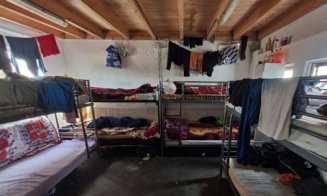 Peste 50 de cetățeni români locuiau în "condiții inumane" la o fermă din Olanda