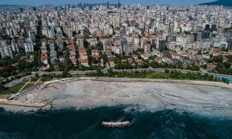 Mâzga marină a ajuns de pe plajele Turciei, în nordul Greciei