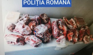 Bătaia de joc a românilor faţă de animalele patriei. Pui de urs ținut captiv la Borșa. Au fost găsite 40 de kilograme de carne de urs