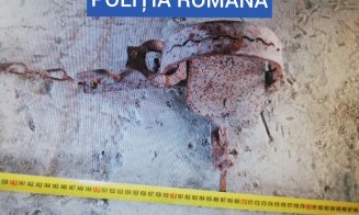 Bătaia de joc a românilor faţă de animalele patriei. Pui de urs ținut captiv la Borșa. Au fost găsite 40 de kilograme de carne de urs