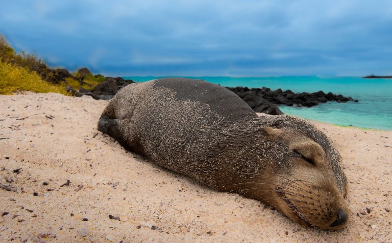 USAMV Cluj ajunge în Arhipelagul Galapagos cu un proiect de cercetare