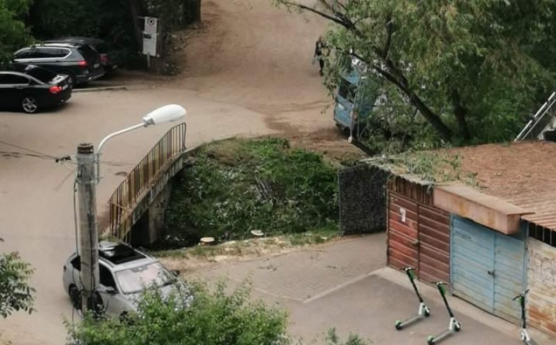"Ce se face la intrarea în Parcul Rozelor? Au început să taie din sălcii şi am văzut câţiva copaci marcaţi"