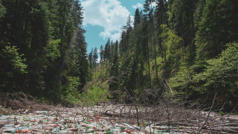 Dezastrul ecologic de pe lacul Beliș: Primăriile permit oamenilor să arunce gunoaiele în spatele curții, unde e pârâu