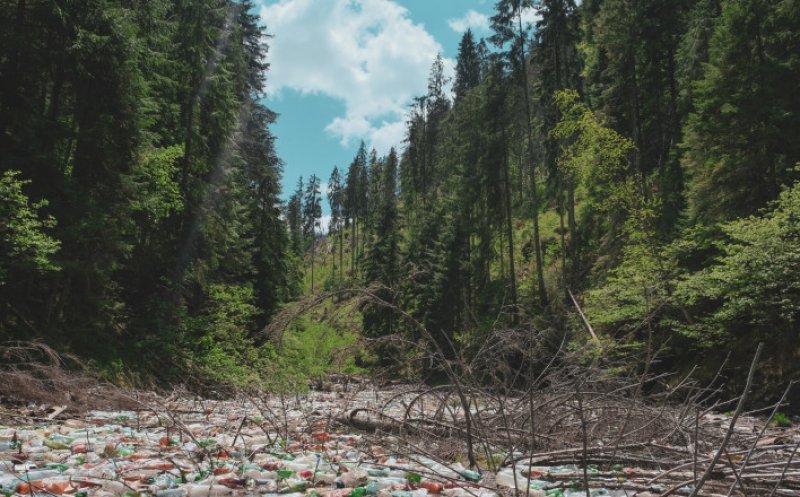 Dezastrul ecologic de pe lacul Beliș: Primăriile permit oamenilor să arunce gunoaiele în spatele curții, unde e pârâu