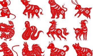 Zodiac chinezesc: luni, 21 iunie 2021. O zodie este măcinată de o problemă din trecut