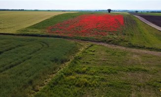 Cum arată lotul-ruină de 28 km din A3, început de Bechtel și lăsat în paragină