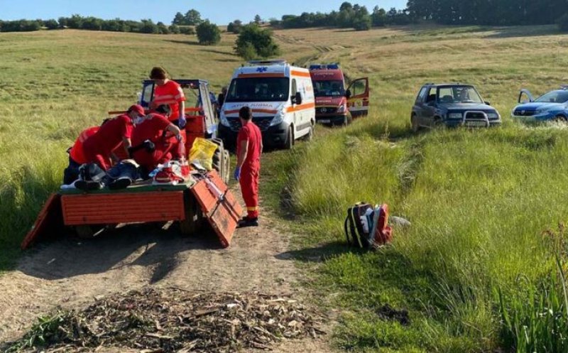 ACCIDENT FORESTIER: A murit strivit de un copac care s-a prăbuşit peste el