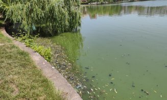 Vegetație și miros urât pe lacul din Gheorgheni. RADP: "Este curățat zilnic. Este, totuși, un lac viu, nu este un lac de cleștar"