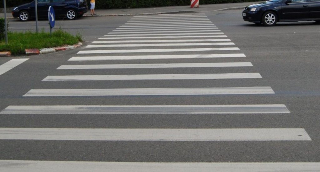 Cățelușa lovită pe trecere în Gheorgheni. Poliția se ocupă de caz