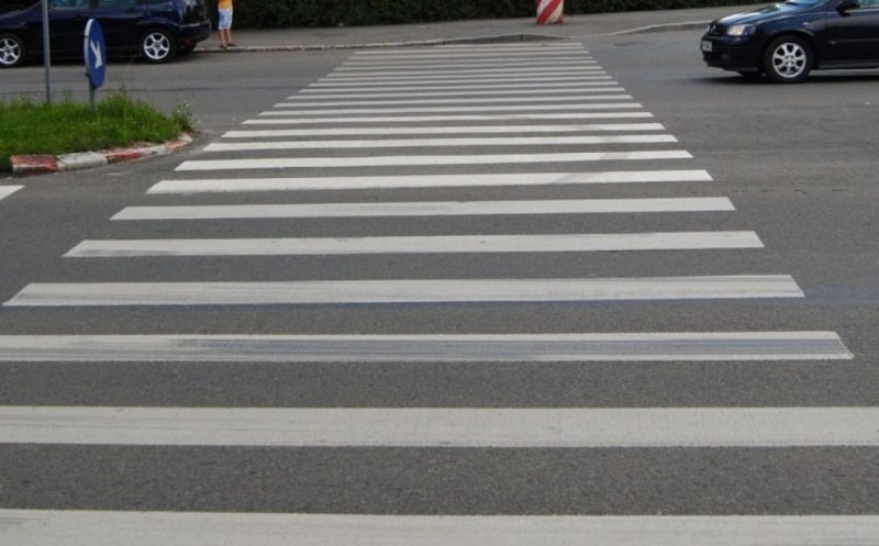 Cățelușa lovită pe trecere în Gheorgheni. Poliția se ocupă de caz