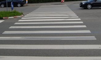 Cățelușa lovită pe trecere în Gheorgheni. Poliția se ocupă de caz