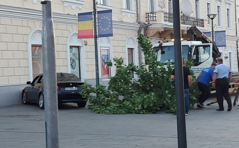 Şoferul unui BMW a smuls un copac din Piața Unirii înainte să se izbească de zid