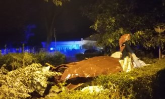 O furtună de 30 de minute a făcut prăpăd în Cluj-Napoca. Primul bilanţ al intervenţiilor pompierilor