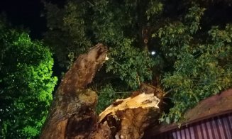O furtună de 30 de minute a făcut prăpăd în Cluj-Napoca. Primul bilanţ al intervenţiilor pompierilor