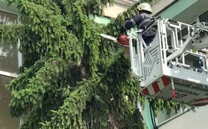 Copac căzut pe clădirea unui liceu din Cluj-Napoca în urma furtunii de duminică. Intervin pompierii