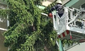 Copac căzut pe clădirea unui liceu din Cluj-Napoca în urma furtunii de duminică. Intervin pompierii